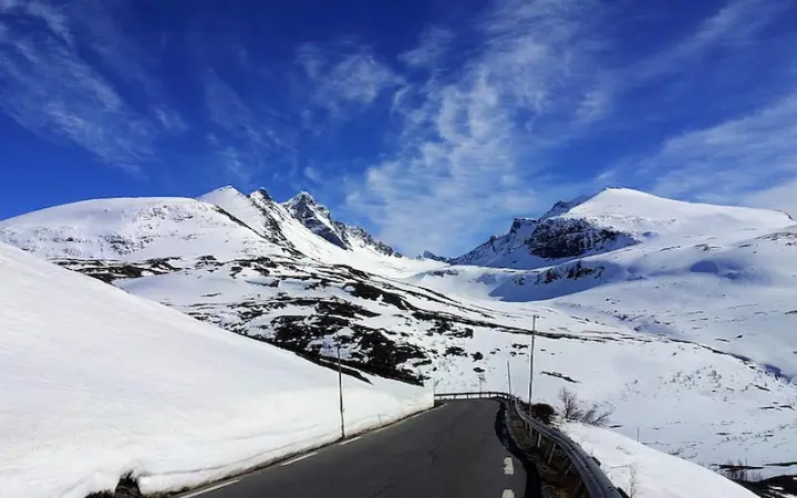 Fjord Cruises 